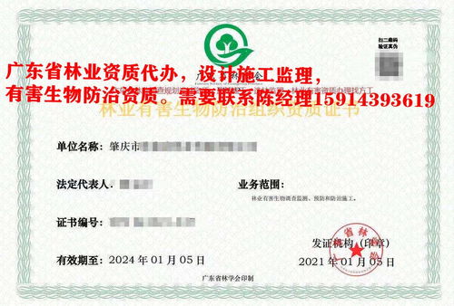 惠陽區(qū)林業(yè)規(guī)劃設計資質(zhì)認證要求的條件和要求