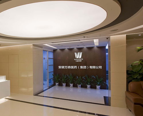 地產(chǎn)品牌策劃 滁州品牌策劃 多年經(jīng)驗(yàn) 安徽國禎