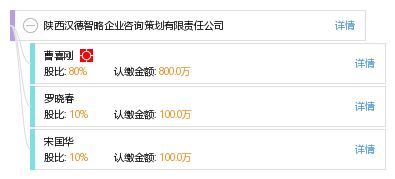 陜西漢德智略企業(yè)咨詢策劃有限責任公司