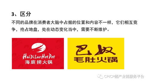 肖一刀 從零起步，匠心打造豬肉品牌的突圍之路