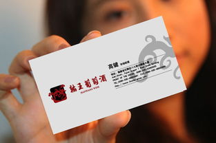 以設(shè)計(jì)賦能品牌價(jià)值 達(dá)獅雄集團(tuán)旗下翰王酒業(yè)的品牌形象識(shí)別策劃與咨詢(xún)